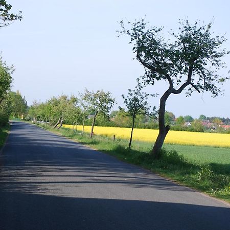 Ferienwohnung Im Gruenen - Hof Blohme Langwedel  Exteriér fotografie