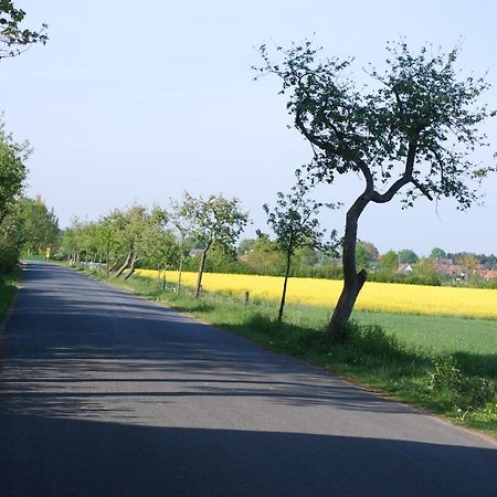 Ferienwohnung Im Grunen - Hof Blohme Langwedel  Exteriér fotografie