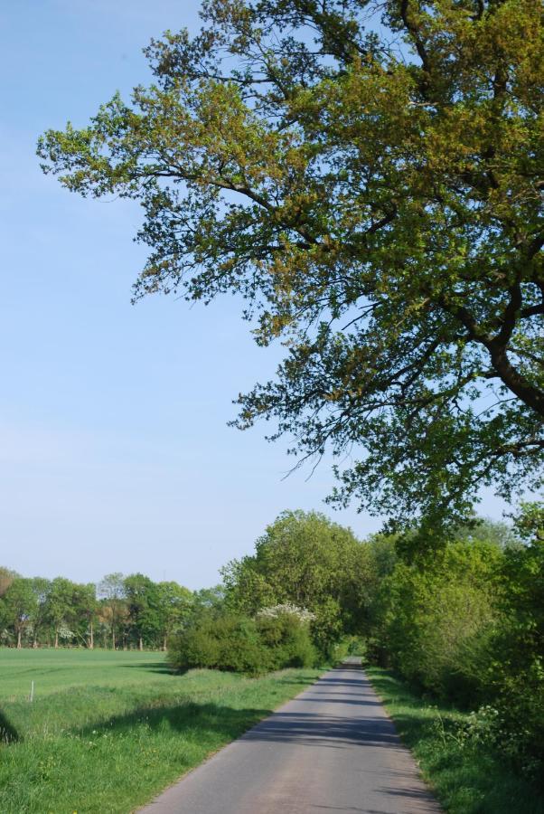 Ferienwohnung Im Gruenen - Hof Blohme Langwedel  Exteriér fotografie