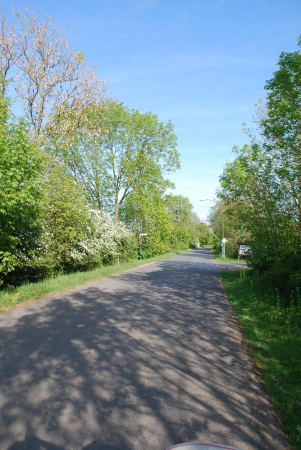 Ferienwohnung Im Gruenen - Hof Blohme Langwedel  Exteriér fotografie